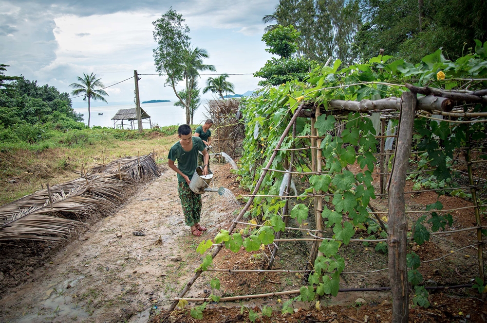 Trên một vạt đồi, để rau màu phát triển, các chiến sĩ phải cẩn thận che chắn hơi nước mặn từ gió biển ngay khi mới gieo trồng.